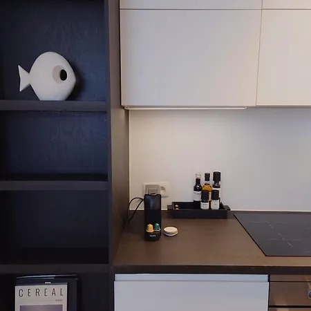 Apartment T'zuid With Underground Parking Antwerp